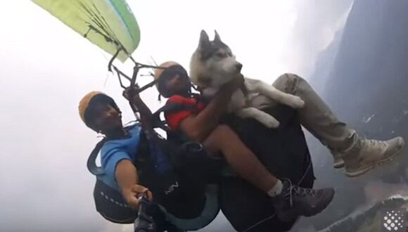 El video de un perro siberiano que vuela en parapente junto a su amo y un instructor se ha convertido en viral en YouTube | Foto: Captura de video / Newsflare