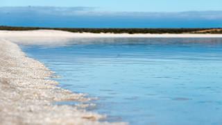 Shell Beach: Una de las playas más raras del mundo
