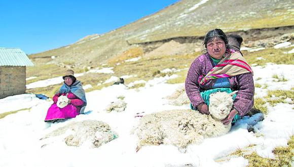 Hace falta personal de salud en Puno para atención por heladas