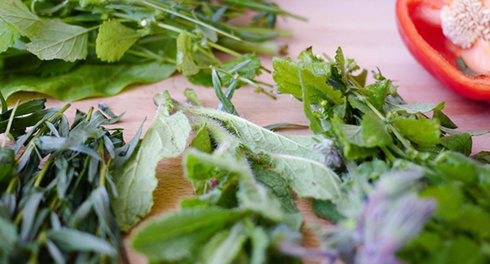 Conoce las hierbas aromáticas más recomendadas al momento de cocinar. (Foto: Pixabay)