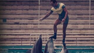 “¿Qué le pasó al rey de los delfines?”: quién fue José Luis Barbero y cómo murió el entrenador de delfines