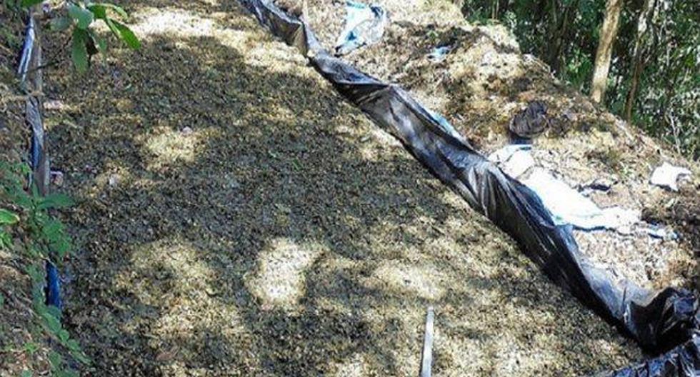 Miembros de la Policía Nacional encontró 345 kilos de droga. (Foto: Andina)