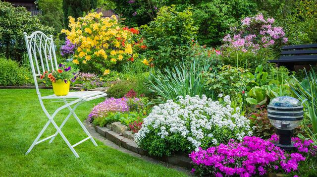 Cinco pasos para cuidar el jardín durante las lluvias - 1