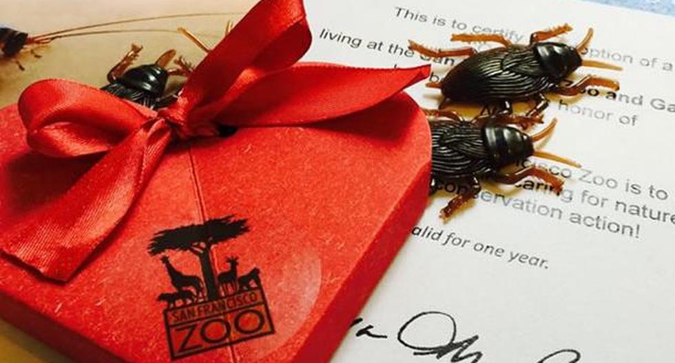 Esta \"romántica\" iniciativa la brindó el zoológico de San Francisco. (Foto: Difusión)