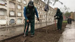 ¿Es posible hacer del cementerio Presbítero Maestro un pulmón verde de Lima?