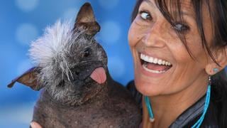 Mr. Happy Face: así es el perro ‘más feo del mundo’ que hizo ganar 1.500 dólares y un viaje a su dueña