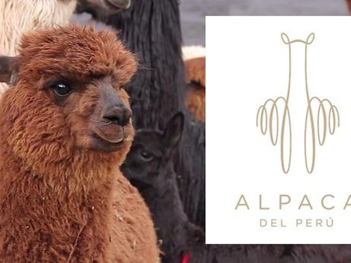 Perú apunta a que el 30% de sus envíos de fibra de alpaca al 2022