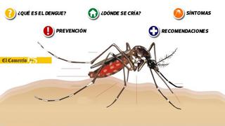 Dengue: lo que tienes que saber para prevenir [INTERACTIVO]