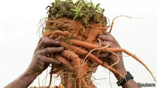 ¿Las zanahorias ayudan a ver en la oscuridad?