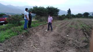 Zona arqueológica de Caral fue invadida por agricultores durante la cuarentena