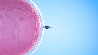 Médico inseminó con su propio esperma a 49 mujeres sin que ellas lo supieran