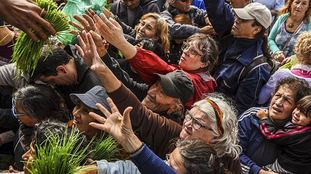 Argentina: El 'verdurazo' contra lo que "permite" Macri - 7