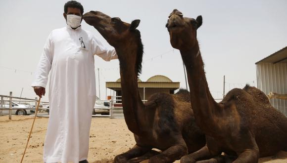 Los camellos contagian el MERS, según un estudio