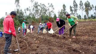 Midagri entrega fertilizantes para pequeños productores de Andahuaylas