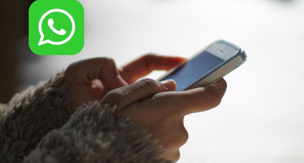 WhatsApp introduce la nueva función ‘People Nearby’: explicación de su utilidad y guía de uso
