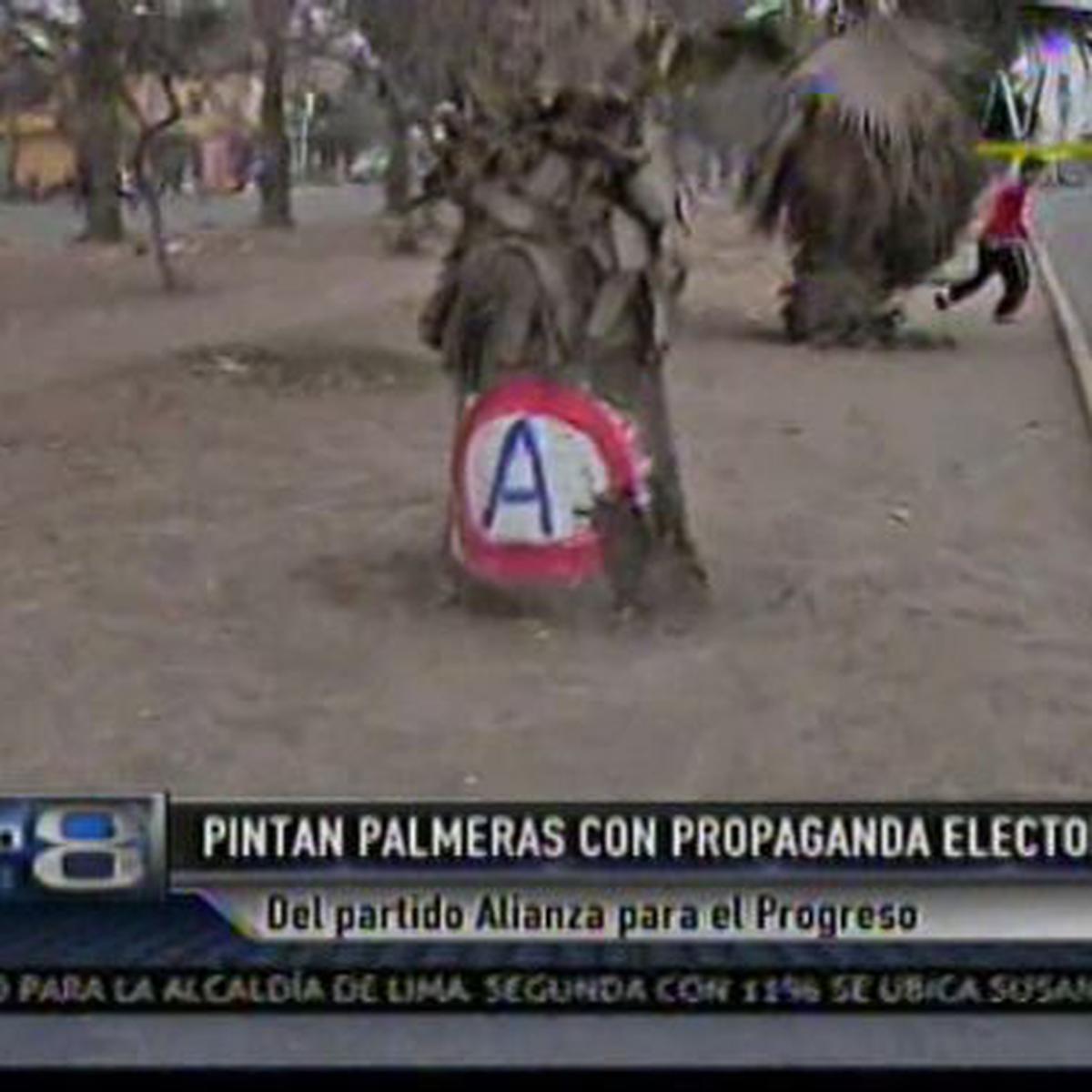 Comas: Alianza para el Progreso pintó palmeras con su logo | LIMA | EL  COMERCIO PERÚ