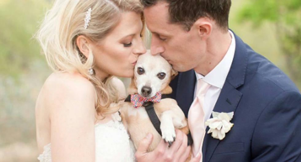 Estos consejos te ayudarán a que tu mascota disfrute la boda al máximo. (Foto: Instagram/petsatweddings)