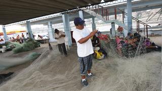 Fondepes solo ha ejecutado 2,9% del presupuesto asignado para créditos a pescadores artesanales