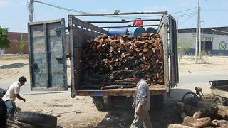 Gobierno de Ucayali permitió tala ilegal de especies en peligro