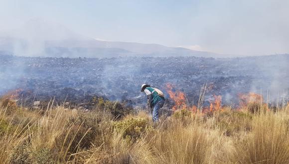 Arequipa: incendio forestal generó pérdidas valorizadas en S/1 millón