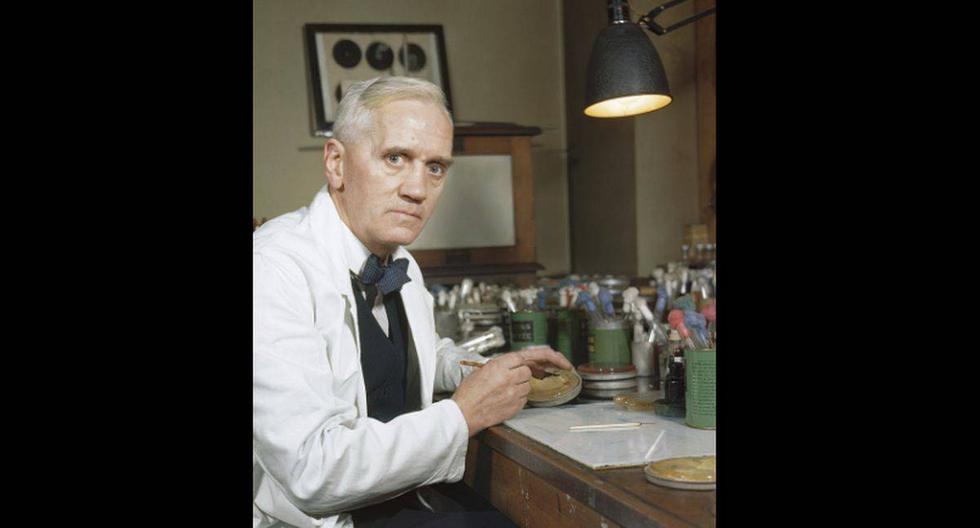 Un día como hoy pero en 1955 muere Alexander Fleming, médico británico, descubridor de la penicilina. (Foto: Wikimedia)