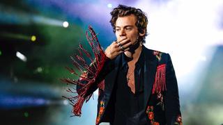 Harry Styles se convierte en "granjero" para nueva campaña de Gucci