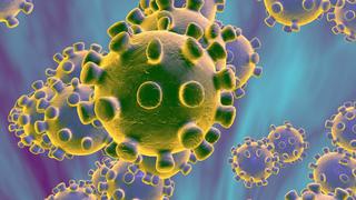 ¿Qué tipos de Coronavirus existen y cuáles son los más y menos peligrosos?