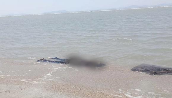 Cuerpos que fueron hallados en las costas de Playa Vicente en San Francisco del Mar, en Oaxaca, México. (Foto de RR.SS. vía Aristegui Noticias)