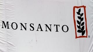 Cómo un pueblo argentino lucha contra el gigante Monsanto
