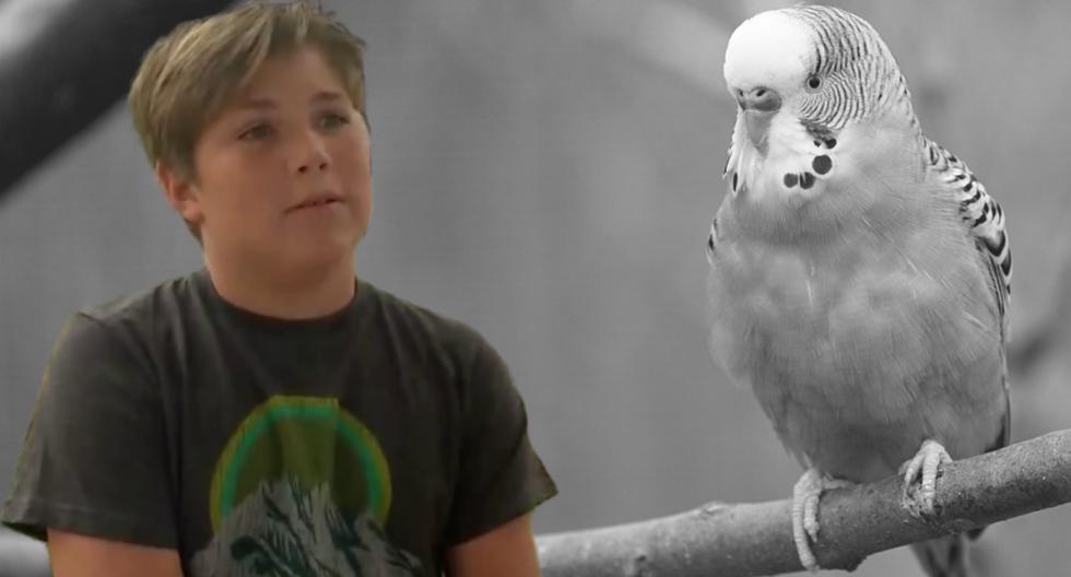 ‘Chimuelo’, el protagonista del video viral cuenta la especial relación ...