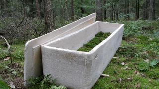 El ataúd “viviente” hecho a base de hongos que permite realizar entierros ecológicos