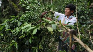 Inauguran vía que beneficia a agricultores puneños