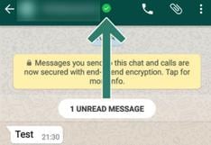 WhatsApp: extraño círculo verde aparece al lado de tu nombre ¿Qué es?