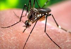 5 recomendaciones para evitar el dengue en feriado largo