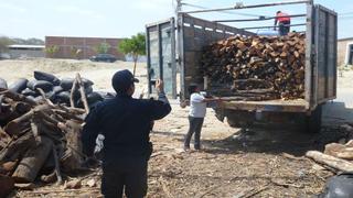 PNP incautó madera ilegal valorizada en S/. 20 mil
