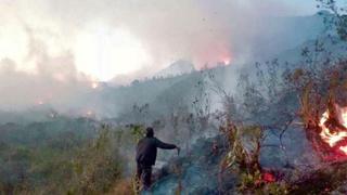 Cajamarca: incendio forestal afecta más de 450 hectáreas en Jocos