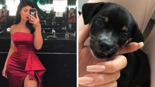 Kylie Jenner celebra el primer cumpleaños de su hija adoptando a un cachorro