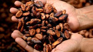 "Píldoras" de cacao para recuperar el sentido del gusto