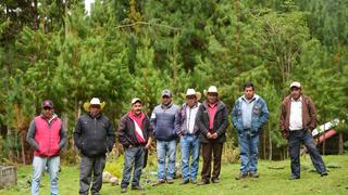 Nueva Vaquería: la comunidad que conserva su bosque en un territorio donde avanza la tala ilegal en México