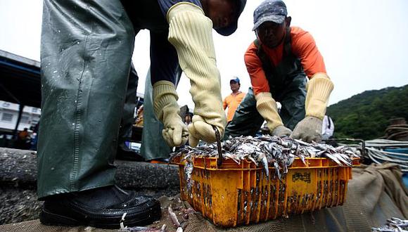 Produce: La presencia de anchoveta decaerá en una década