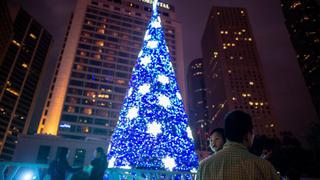 ¿Qué significa el árbol de Navidad? ¿Cuál es su verdadero significado?