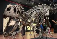 A la venta en París un esqueleto de alosaurio de 145 millones de años
