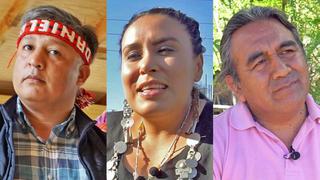 Tres mapuches exitosos en negocios que rompen estereotipos en Chile