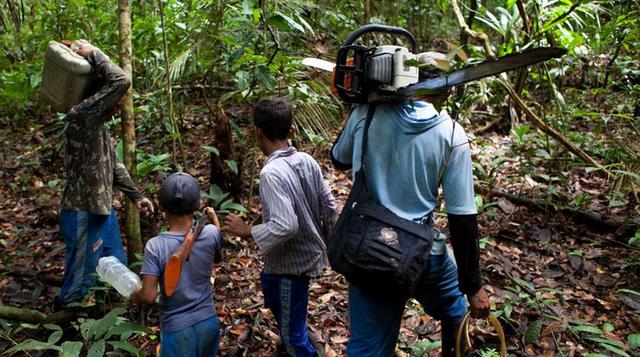 La tala ilegal y su preocupante panorama en la Amazonía [Fotos] - 5