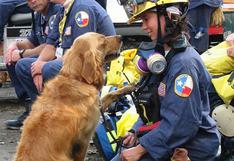 YouTube: en Nueva York rinden homenaje a perro que participó en rescate del 11S | VIDEO
