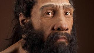 Canibalismo | ¿Por qué los antepasados de los humanos comían carne humana?