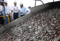 MEF estima que primera temporada de pesca crecerá entre 30% y 40%