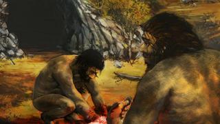 Los hombres ya comían carne de animales hace 1,2 millones de años