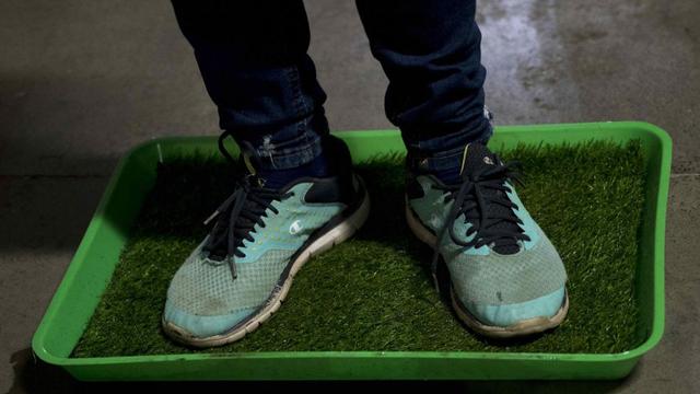 Un joven pisa una alfombra empapada de cloro como medida de prevención ante el coronavirus.  (Foto: EFE/ Jorge Torres).