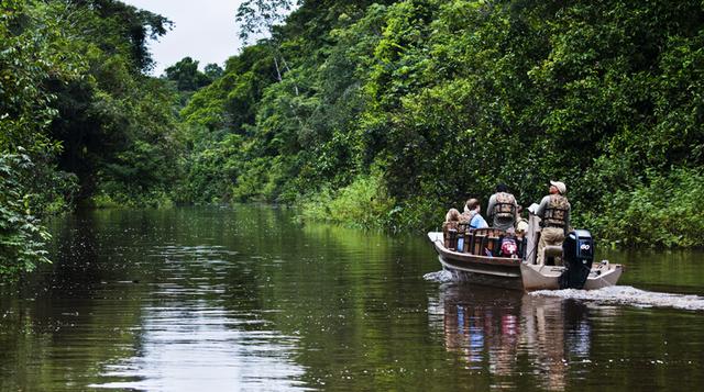 Crean el primer fondo privado para reforestar la Amazonía - 1